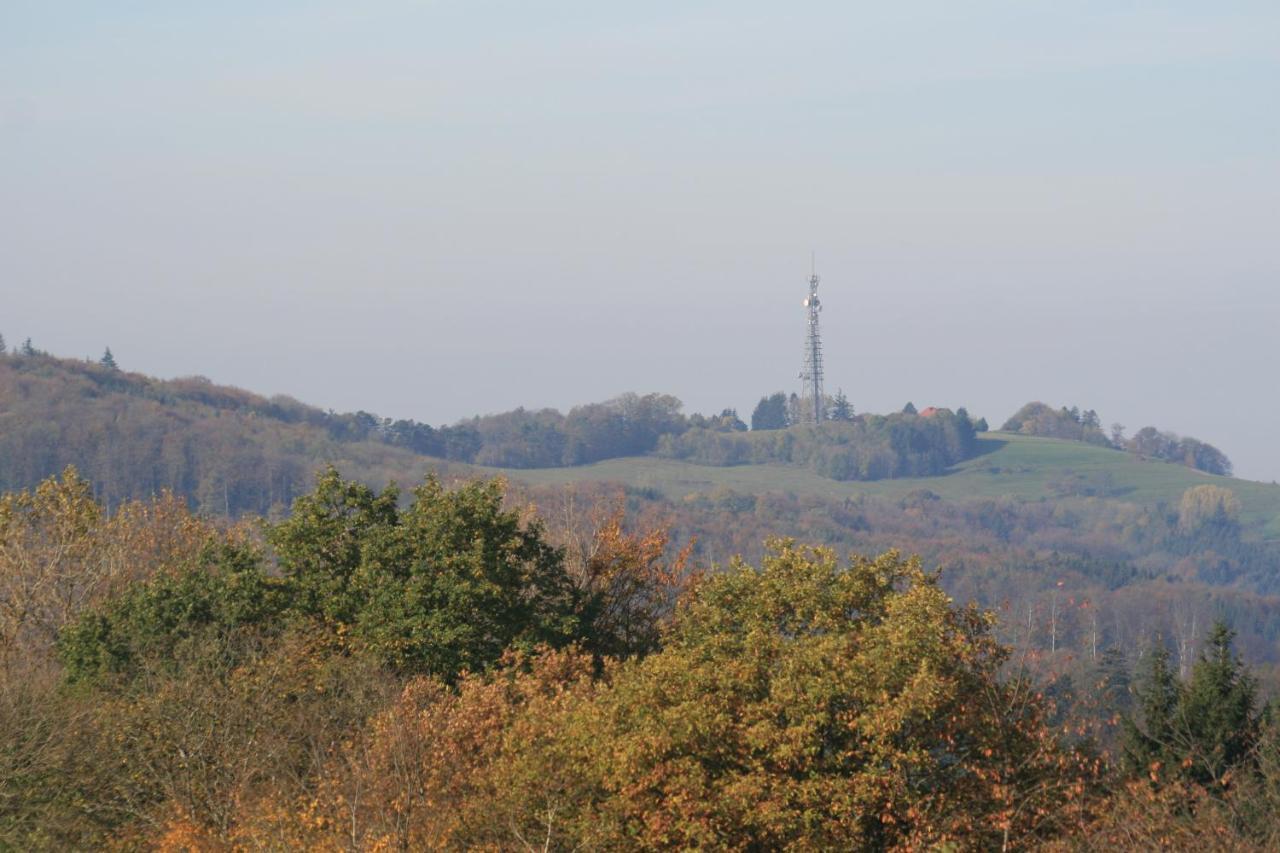 Fewo Im Naturpark Spiegelberg Exteriör bild